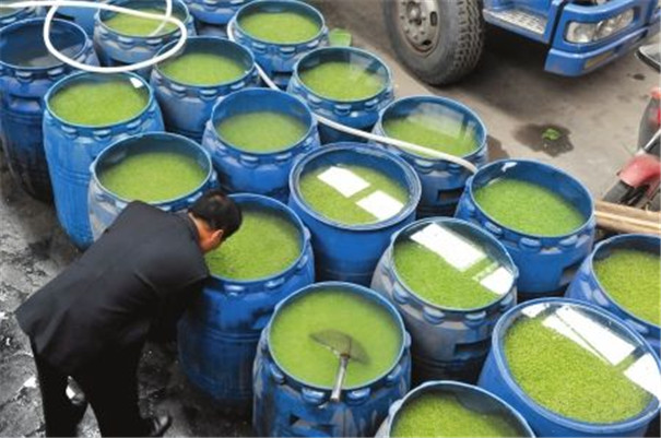 豌豆淀粉加工設備 豌豆淀粉加工設備