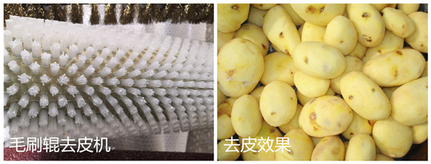 木薯去皮機(jī)-毛刷輥 木薯去皮機(jī)-毛刷輥