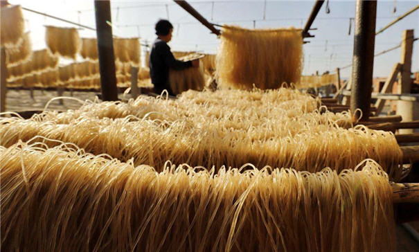 紅薯粉條機 紅薯粉條機