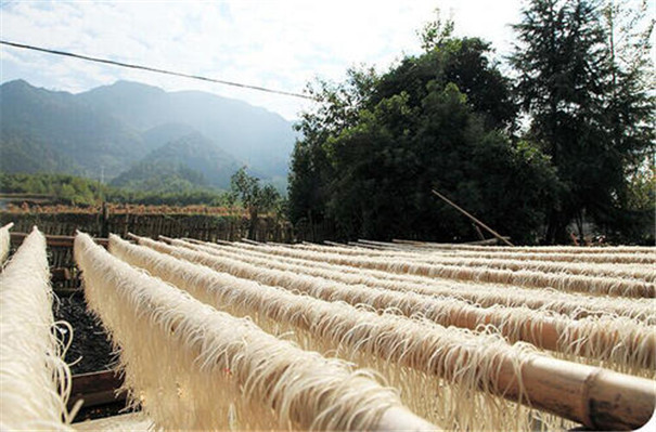 紅薯粉條加加工流程--戶(hù)外干燥
