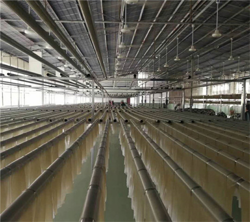 想入手全自動(dòng)紅薯粉條機(jī)設(shè)備卻預(yù)算有限？可以試試種工藝的粉條機(jī)