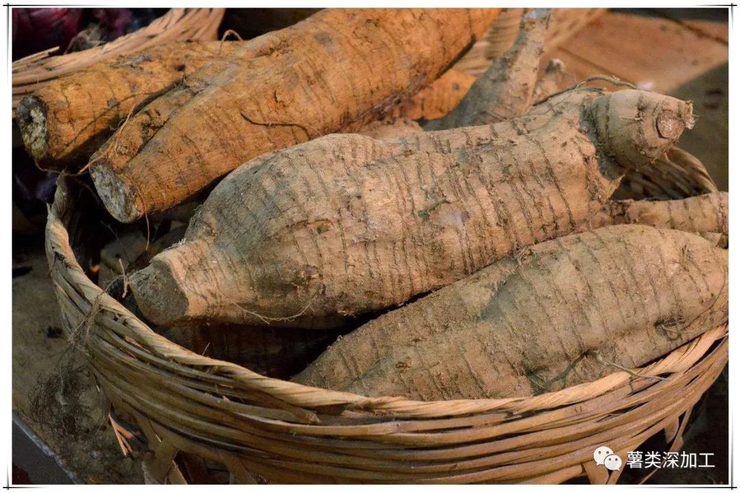 葛根泡水喝的功效 葛根泡水喝的功效